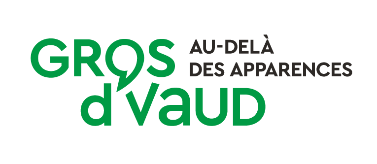 Sondage mobilité dans le Gros-de-Vaud